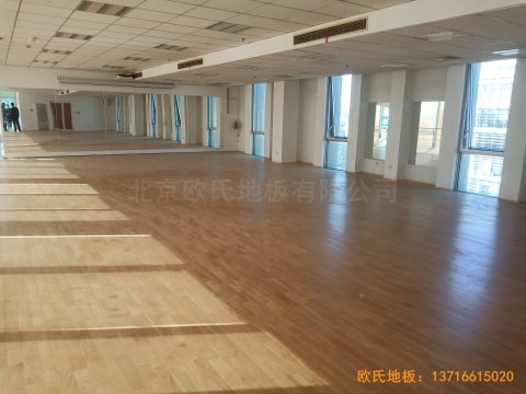 中國科學(xué)院技術(shù)研究所運動館運動木地